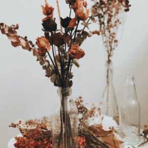 Dried Floral Heads