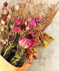 Dried Flowers for Crafts