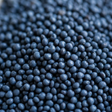 Close-up of premium blue poppy seeds showing even color, clean texture, and no debris.