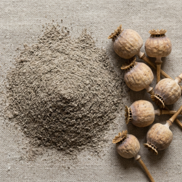 Fine doda poppy powder in a bowl beside whole dried Papaver somniferum pods on a neutral background