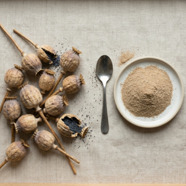 Side-by-side comparison of whole dried Papaver somniferum poppy pods and natural poppy pods powder showing the two primary botanical product formats