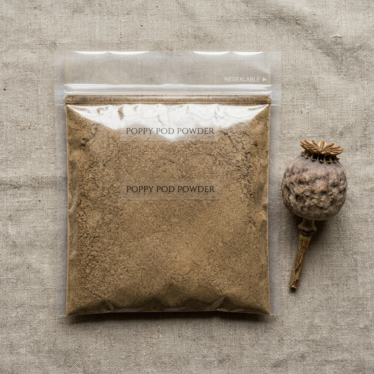 Dried poppy pod powder in a resealable bag beside a whole dried Papaver somniferum pod on a neutral background.