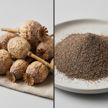 Dried poppy pods being processed into organic poppy pod powder through milling.