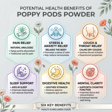 Infographic of poppy pods powder health benefits.