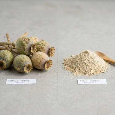 Comparison of whole premium poppy pods versus ground poppy powder.