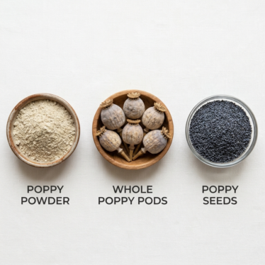 Different forms of poppy products including powder, dried pods, and seeds.