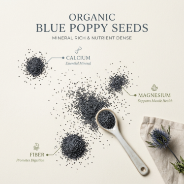 Infographic displaying the key nutrients found in organic blue poppy seeds including calcium, magnesium, and fiber