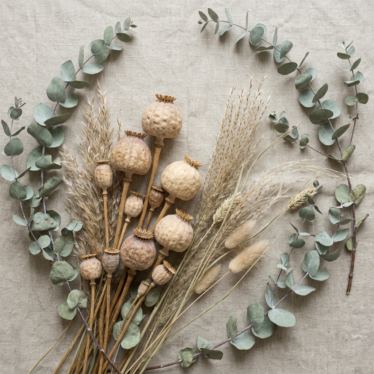 Rustic dried poppy pods arranged with dried grasses and eucalyptus for a neutral floral palette.